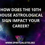 How does the 10th house astrological sign impact your career